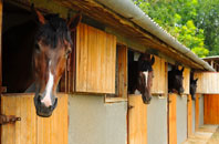 free Horsemans Green stable construction quotes